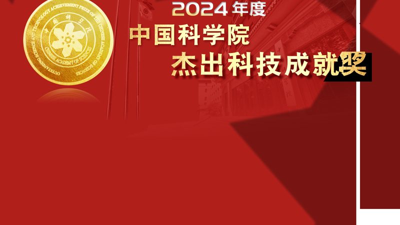 开源低代码平台：功能全面性解析